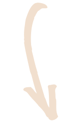 decorazione