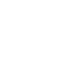 I.V.N.G.