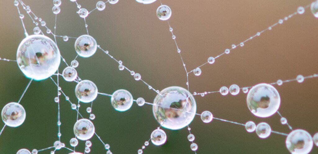 banner-block_e8792b4883785e3e359c6ce0062997a1