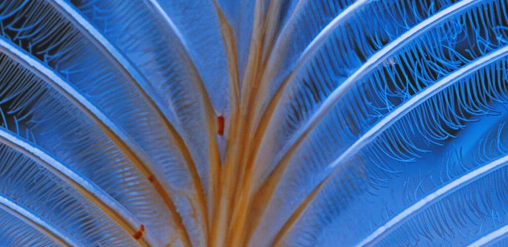 banner-block_0e6dedb5c73519699bc80b027d9b07a7