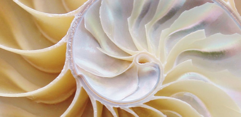 banner-block_08ba3c09b7187c34ba225b37c81c2ee1