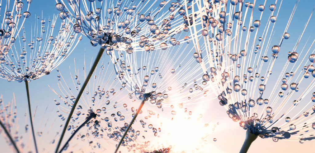 banner-block_c13ee156a2619fd8df3386a6fd82abf8