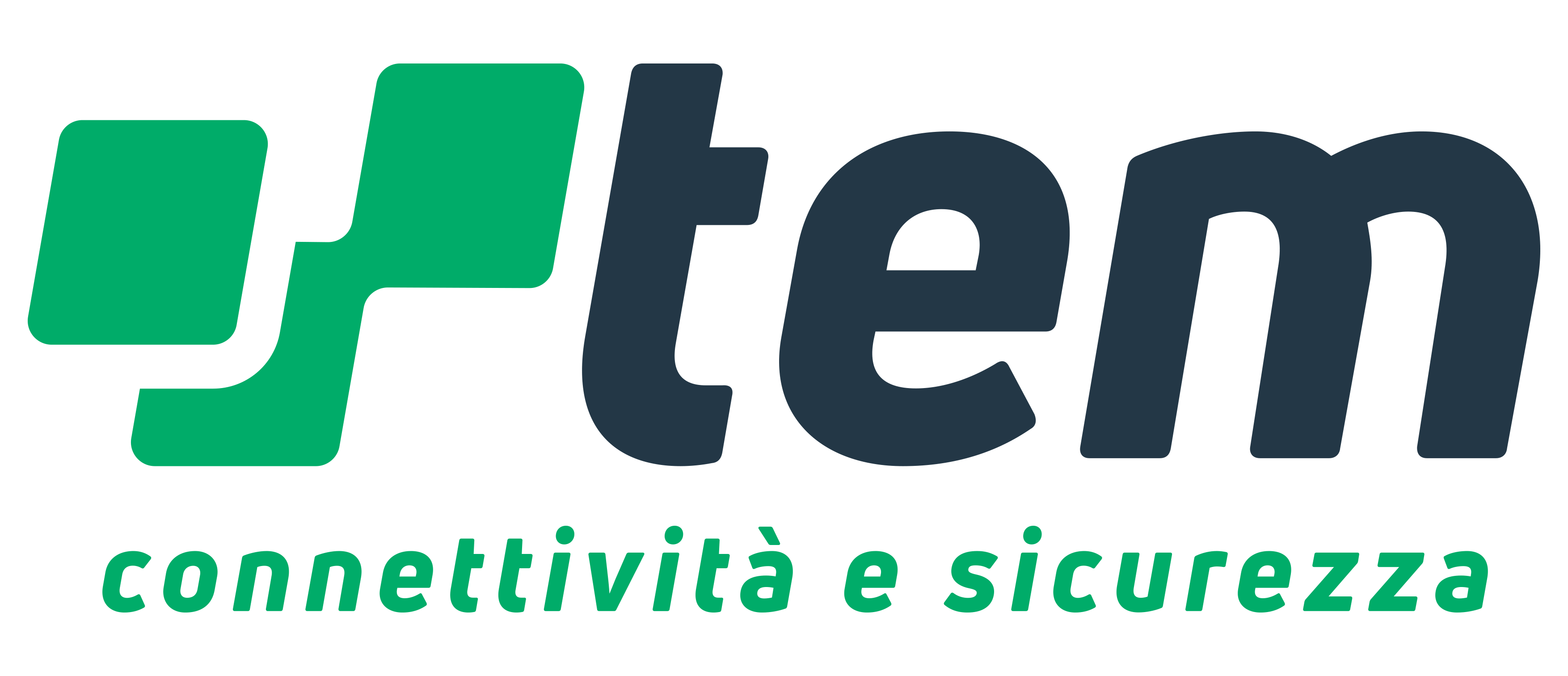 tem telematica